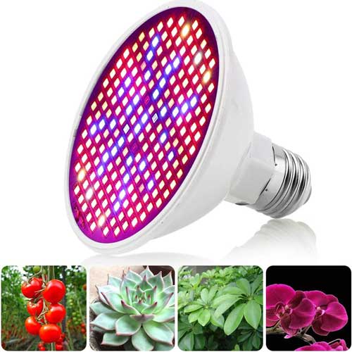LED fény a növények számára
